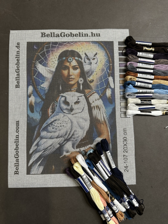 Indian girl with a white owl