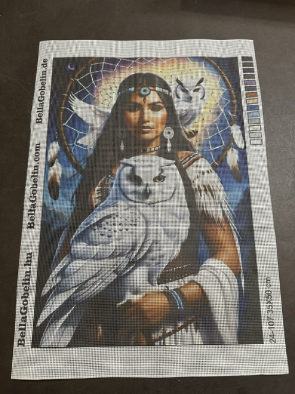 Indian girl with a white owl