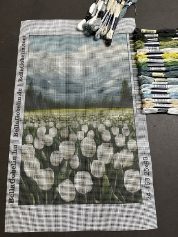 White tulips