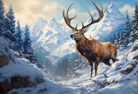 Stag in the snow