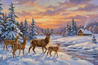 Elks in winter at the forest cabin